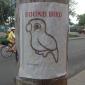 I'm pretty sure they're getting a lot of calls about this bird