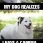 Dogs Know