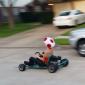 GoKart Time