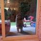 Dude, it's me Jim, let me in