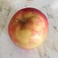 Apple Tan
