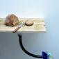 Bird Feeder