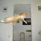 Action Cat