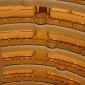 Jin Mao Tower