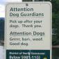 Attention Dogs