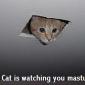 Ceiling Cat