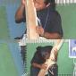 Chewing Wood
