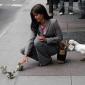 Duckling Misdirection