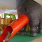 Elephant Slide