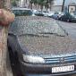 Your Car Is Dirty