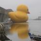 Huge Rubber Ducky
