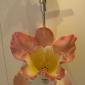 Flower Urinal