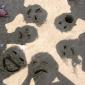 Faces In The Sand