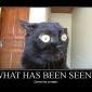 What Has Been Seen