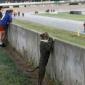 Watching The Races