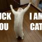 I Am Cat