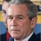 Bush Crying