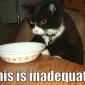 Inadequate