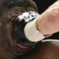 Face Punch