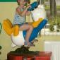 Donald Duck Ride