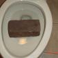 Shitting Bricks