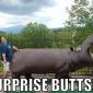 Surprise Buttsex