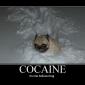 Cocaine