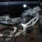 Birds Hate Motorcycles