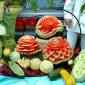 Watermelon Sculpture