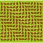 Crazy Illusion