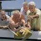 Old Men Throwing a Turtle