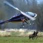 Helicopter Hunting