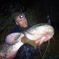 Massive Catfish