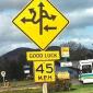 Crazy Street Sign