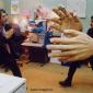 Handling Things