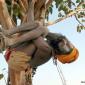 Hanging Out