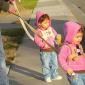 On A Leash