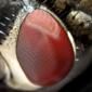 Eyes