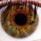 Eyes