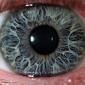 Eyes