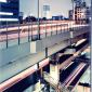 Tokyo Nights